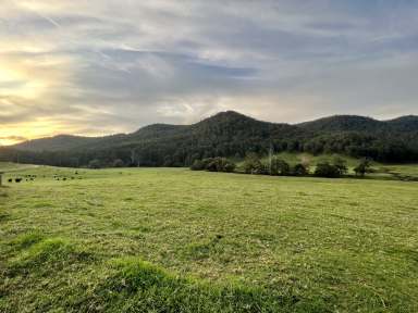 Farm Sold - NSW - Laguna - 2325 - The Best of the Watagan Valley – Prime 108 Acres of Diverse Lush Pasture  (Image 2)