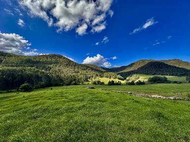 Farm For Sale - NSW - Laguna - 2325 - The Best of the Watagan Valley – Prime 108 Acres of Diverse Lush Pasture  (Image 2)