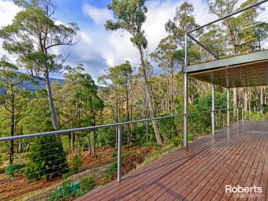 Farm For Sale - TAS - Lachlan - 7140 - Abundance of space and Natural Beauty  (Image 2)