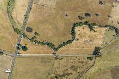 Farm For Sale - VIC - Woodend North - 3442 - "Crick Hollow" 9 Acres of Delightful Country Gold!  (Image 2)