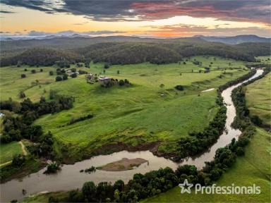 Farm For Sale - QLD - The Palms - 4570 - "BLIMEY DOWNS" – THE REGION'S JEWEL LIVESTOCK PROPERTY!  (Image 2)