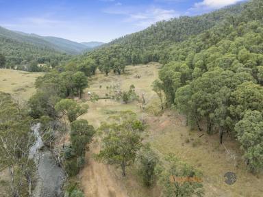 Farm For Sale - VIC - Nariel Valley - 3707 - NARIEL PARADISE FOUND  (Image 2)