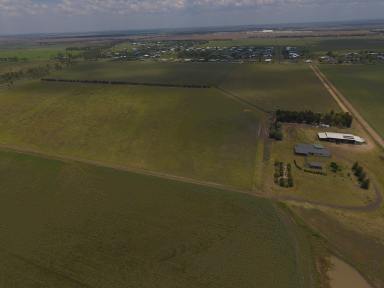 Farm For Sale - QLD - Dalby - 4405 - Acreage close to Dalby town on Cecil Plains Road  (Image 2)