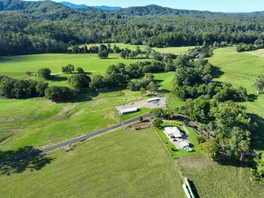 Farm For Sale - NSW - Bellingen - 2454 - 'Riverside' A Productive, Riverfront Farm with Renovated Homestead.  (Image 2)