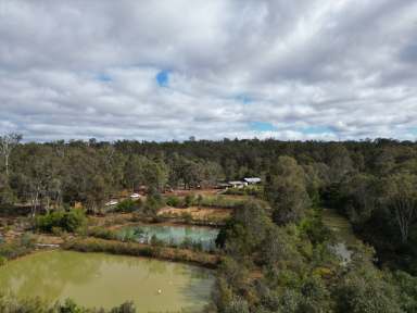 Farm For Sale - WA - Nannup - 6275 - Acreage with Marron Ponds in private location!  (Image 2)