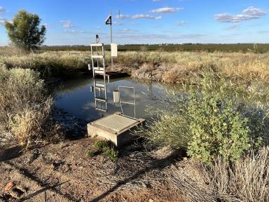 Farm For Sale - NSW - Whitton - 2705 - ENTRY IRRIGATION HOLDING  (Image 2)