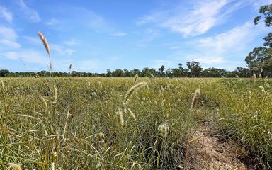 27926 Carnarvon Highway, Tingun QLD 4455