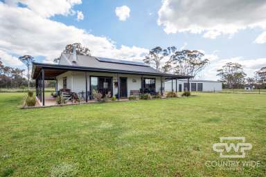 Farm For Sale - NSW - Guyra - 2365 - Motivated Vendor  (Image 2)