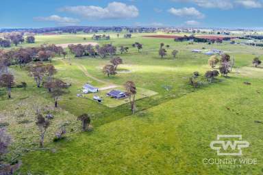 Farm For Sale - NSW - Guyra - 2365 - Motivated Vendor  (Image 2)