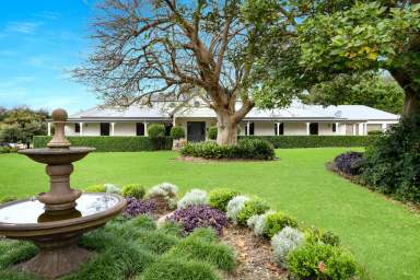 Farm For Sale - NSW - Berry - 2535 - Discover the Epitome of Country Living in Berry  (Image 2)