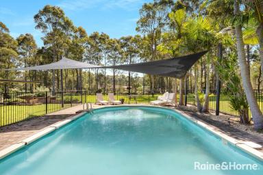 Farm For Sale - NSW - Nowra Hill - 2540 - 2.5 Acres of Picturesque Tranquillity  (Image 2)