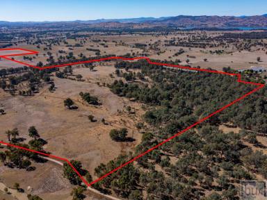 Farm For Sale - VIC - Bonegilla - 3691 - An extremely rare opportunity to acquire high quality genuine cattle country  (Image 2)