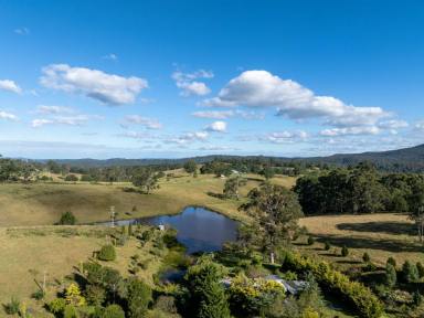 Farm For Sale - NSW - Brogo - 2550 - 100 ACRES WITH EXCELLENT SHED  (Image 2)