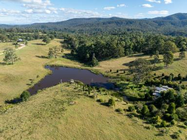Farm For Sale - NSW - Brogo - 2550 - 100 ACRES WITH EXCELLENT SHED  (Image 2)