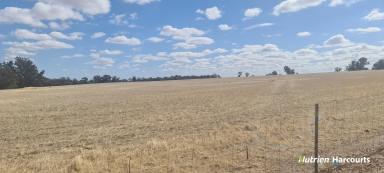 Farm For Sale - WA - Beaufort River - 6394 - Ideal Farm Add On Block in Central Location!  (Image 2)