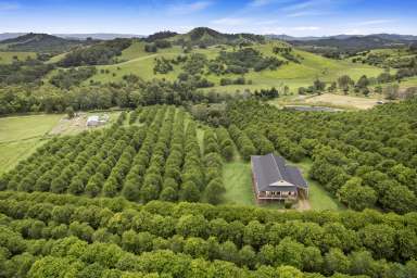 Farm For Sale - QLD - Amamoor - 4570 - Breathtaking Views of the Valley  (Image 2)