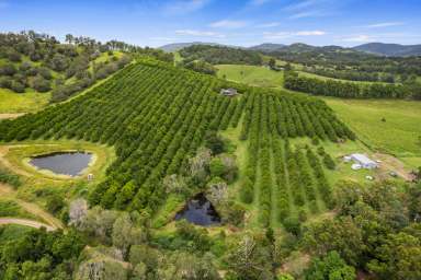 Farm For Sale - QLD - Amamoor - 4570 - Breathtaking Views of the Valley  (Image 2)