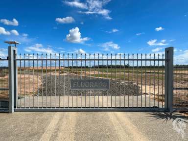 Farm Sold - NSW - Wee Waa - 2388 - 'ELDORADO' - FARMING - GRAZING - HUNTING  (Image 2)