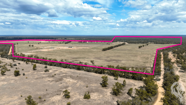 Farm Sold - NSW - Wee Waa - 2388 - 'ELDORADO' - FARMING - GRAZING - HUNTING  (Image 2)