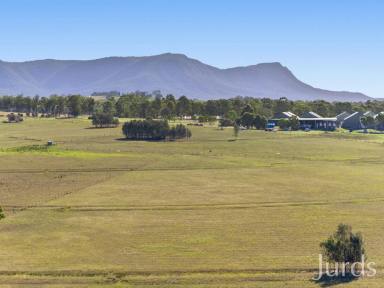 Farm For Sale - NSW - Pokolbin - 2320 - BLANK CANVAS DEVELOPMENT SITE IN HEART OF WINE COUNTRY  (Image 2)