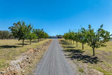 Farm Sold - NSW - Goulburn - 2580 - Road to Peace and Freedom !  (Image 2)