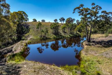 Farm For Sale - NSW - Goulburn - 2580 - Road to Peace and Freedom !  (Image 2)