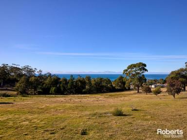 Farm For Sale - TAS - Bicheno - 7215 - Coastal Brick Home - Open Home on Sat the 11th of May at 10am  (Image 2)