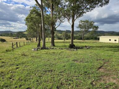 Farm For Sale - NSW - Bunyah - 2429 - BUNYAH BEAUTY WITH DWELLING ENTITLEMENT  (Image 2)