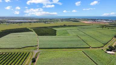 Farm For Sale - QLD - Burnett Heads - 4670 - Exceptional Opportunity at Burnett Heads  (Image 2)