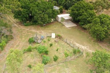 Farm For Sale - QLD - Broughton - 4820 - Large, beautiful home on 6.5 acres close to town  (Image 2)