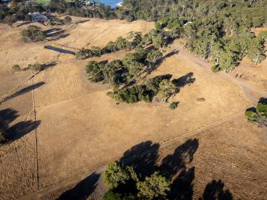 Farm For Sale - VIC - Beaufort - 3373 - 2.00HA (4.94 Acres) Private & Tranquil Setting On The Edge of Town  (Image 2)