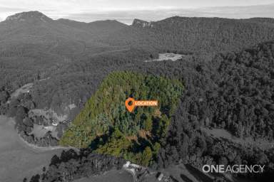 Farm For Sale - TAS - West Ulverstone - 7315 - Your Private Retreat | 10.21ha Block (25 acres)  (Image 2)