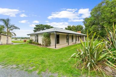 Farm For Sale - VIC - Kilmany - 3851 - LARGE 5 BEDROOM HOME ON 1.1HA (2.75 acres approx.)  (Image 2)