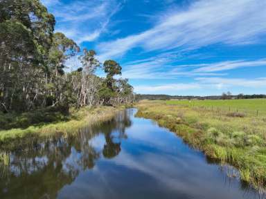 Farm For Sale - NSW - Paddys River - 2577 - Architectural Homestead, Agriculture & Pristine Nature  (Image 2)