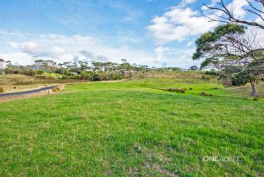 Farm For Sale - TAS - Marrawah - 7330 - Build Your Dream Home & Capture These Panoramic Ocean Views!  (Image 2)