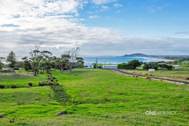 Farm For Sale - TAS - Marrawah - 7330 - Build Your Dream Home & Capture These Panoramic Ocean Views!  (Image 2)