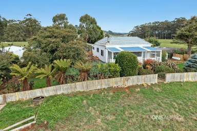 Farm For Sale - TAS - Irishtown - 7330 - Country Living At It's Finest!  (Image 2)