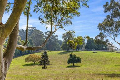 Farm For Sale - VIC - Poowong East - 3988 - LARINGA|POOWONG|SOUTH GIPPSLAND 

Exceptional "Jewel in the Crown" Grazing Lifestyle Property  (Image 2)