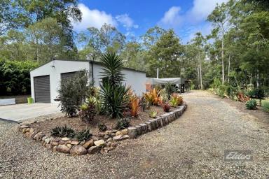Farm For Sale - QLD - Bauple - 4650 - THE BEST IN TRANQUIL LIVING!  (Image 2)