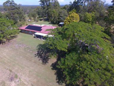 Farm For Sale - NSW - Casino - 2470 - HILLTOP FAMILY HOME  (Image 2)