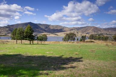 Farm Tender - NSW - Wymah - 2640 - Hume Weir Frontage - Your Own Paradise!  (Image 2)