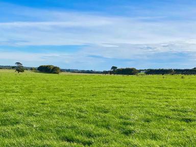 Farm For Sale - VIC - Ecklin South - 3265 - GRASS FACTORY (DAIRY – FATTENING – FODDER)  (Image 2)