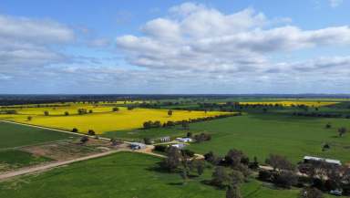 Farm For Sale - SA - Frances - 5262 - PREMIUM MIXED FARMING ASSET WITHIN HIGH RAINFALL DISTRICT  (Image 2)