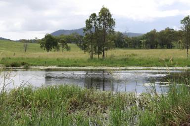 Farm For Sale - QLD - Glen Echo - 4570 - 'Coorambulla' Highly Productive Cattle Property in South East Queensland  (Image 2)