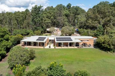 Farm For Sale - QLD - Carters Ridge - 4563 - Perfect Country Style  Living: 4-Bedroom Home with Shed on 10 Acres in Noosa Hinterland  (Image 2)