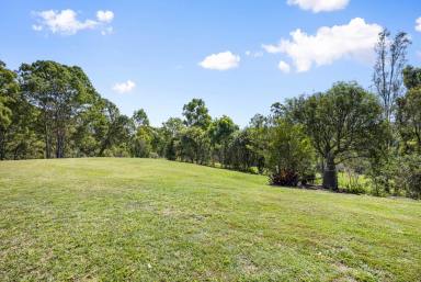 Farm For Sale - QLD - Carters Ridge - 4563 - Perfect Country Style  Living: 4-Bedroom Home with Shed on 10 Acres in Noosa Hinterland  (Image 2)
