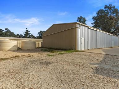 Farm For Sale - VIC - Seymour - 3660 - 3 IN 1 WITH DEVELOPMENT POTENTIAL  (Image 2)