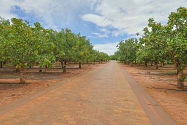 Farm Auction - VIC - Swan Hill - 3585 - "Gayton Grange" - Swan Hill Farm Lifestyle with Income  (Image 2)