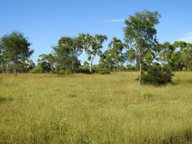 Farm Auction - QLD - Breddan - 4820 - 142 acres on Gladstone creek, close to town  (Image 2)