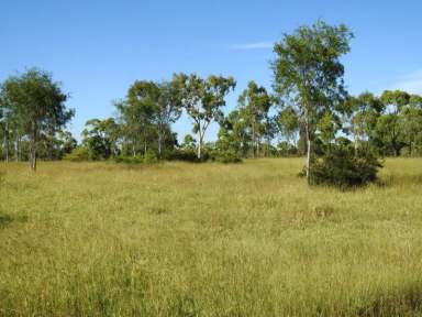 Farm Sold - QLD - Breddan - 4820 - 142 acres on Gladstone creek, close to town  (Image 2)